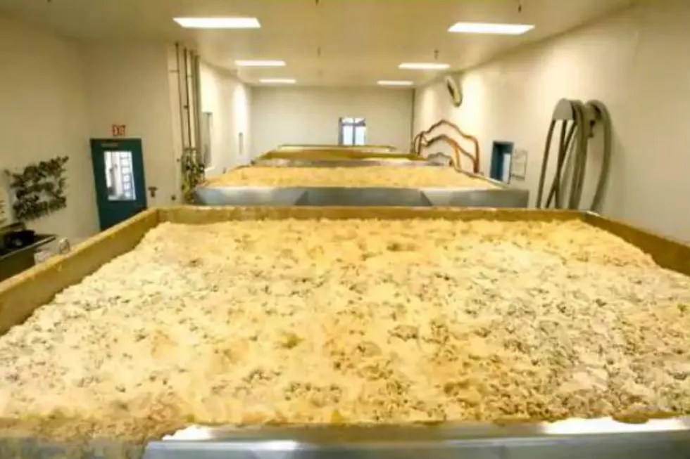 This Beer Fermenting Time-Lapse Video Will Get You Ready For the Weekend