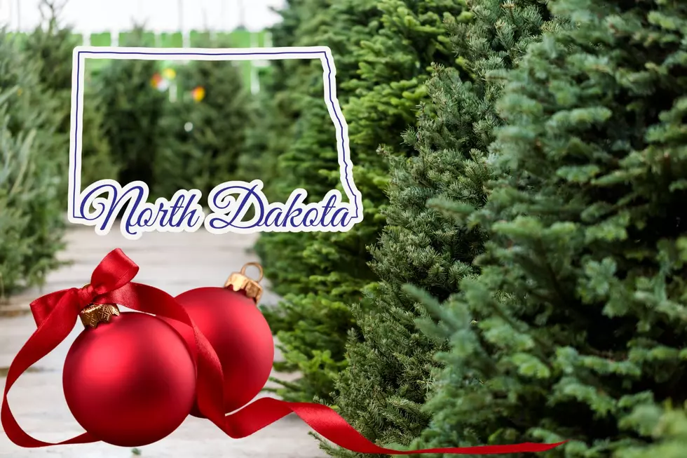 Where To Get The Perfect Christmas Tree In North Dakota